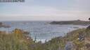 ./images/calvert/foggy-cove/20260503/foggy-cove20260503_063001M.jpg