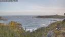 ./images/calvert/foggy-cove/20260503/foggy-cove20260503_063501M.jpg