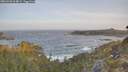 ./images/calvert/foggy-cove/20260503/foggy-cove20260503_064002M.jpg