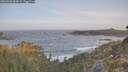 ./images/calvert/foggy-cove/20260503/foggy-cove20260503_064501M.jpg