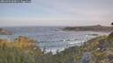 ./images/calvert/foggy-cove/20260503/foggy-cove20260503_065001M.jpg