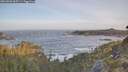 ./images/calvert/foggy-cove/20260503/foggy-cove20260503_065501M.jpg