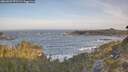 ./images/calvert/foggy-cove/20260503/foggy-cove20260503_071501M.jpg