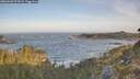 ./images/calvert/foggy-cove/20260503/foggy-cove20260503_072002M.jpg