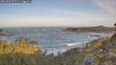 ./images/calvert/foggy-cove/20260503/foggy-cove20260503_072501M.jpg