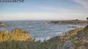 ./images/calvert/foggy-cove/20260503/foggy-cove20260503_073001M.jpg