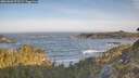 ./images/calvert/foggy-cove/20260503/foggy-cove20260503_073501M.jpg
