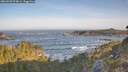 ./images/calvert/foggy-cove/20260503/foggy-cove20260503_074001M.jpg