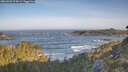 ./images/calvert/foggy-cove/20260503/foggy-cove20260503_074501M.jpg