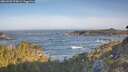 ./images/calvert/foggy-cove/20260503/foggy-cove20260503_075002M.jpg