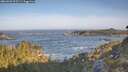 ./images/calvert/foggy-cove/20260503/foggy-cove20260503_075501M.jpg