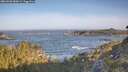 ./images/calvert/foggy-cove/20260503/foggy-cove20260503_080001M.jpg