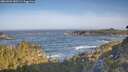 ./images/calvert/foggy-cove/20260503/foggy-cove20260503_080501M.jpg