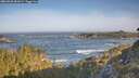 ./images/calvert/foggy-cove/20260503/foggy-cove20260503_081001M.jpg