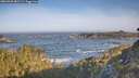 ./images/calvert/foggy-cove/20260503/foggy-cove20260503_081501M.jpg
