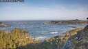 ./images/calvert/foggy-cove/20260503/foggy-cove20260503_082001M.jpg