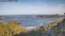 ./images/calvert/foggy-cove/20260503/foggy-cove20260503_082501M.jpg