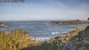 ./images/calvert/foggy-cove/20260503/foggy-cove20260503_083002M.jpg