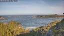 ./images/calvert/foggy-cove/20260503/foggy-cove20260503_083501M.jpg
