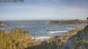 ./images/calvert/foggy-cove/20260503/foggy-cove20260503_084001M.jpg