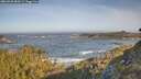 ./images/calvert/foggy-cove/20260503/foggy-cove20260503_084501M.jpg