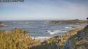 ./images/calvert/foggy-cove/20260503/foggy-cove20260503_085001M.jpg