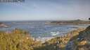 ./images/calvert/foggy-cove/20260503/foggy-cove20260503_090001M.jpg