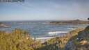 ./images/calvert/foggy-cove/20260503/foggy-cove20260503_090501M.jpg