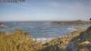./images/calvert/foggy-cove/20260503/foggy-cove20260503_091001M.jpg