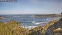 ./images/calvert/foggy-cove/20260503/foggy-cove20260503_091502M.jpg
