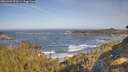 ./images/calvert/foggy-cove/20260503/foggy-cove20260503_092001M.jpg