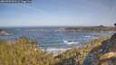 ./images/calvert/foggy-cove/20260503/foggy-cove20260503_092501M.jpg