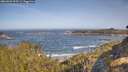 ./images/calvert/foggy-cove/20260503/foggy-cove20260503_093501M.jpg