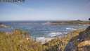 ./images/calvert/foggy-cove/20260503/foggy-cove20260503_094001M.jpg