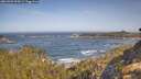 ./images/calvert/foggy-cove/20260503/foggy-cove20260503_094501M.jpg