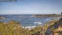 ./images/calvert/foggy-cove/20260503/foggy-cove20260503_095001M.jpg