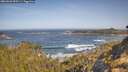 ./images/calvert/foggy-cove/20260503/foggy-cove20260503_095501M.jpg