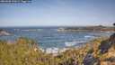 ./images/calvert/foggy-cove/20260503/foggy-cove20260503_100001M.jpg
