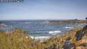 ./images/calvert/foggy-cove/20260503/foggy-cove20260503_100501M.jpg