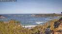 ./images/calvert/foggy-cove/20260503/foggy-cove20260503_101001M.jpg