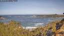 ./images/calvert/foggy-cove/20260503/foggy-cove20260503_101501M.jpg
