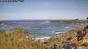 ./images/calvert/foggy-cove/20260503/foggy-cove20260503_102001M.jpg