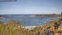 ./images/calvert/foggy-cove/20260503/foggy-cove20260503_102501M.jpg