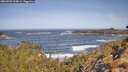 ./images/calvert/foggy-cove/20260503/foggy-cove20260503_103001M.jpg