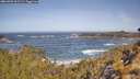 ./images/calvert/foggy-cove/20260503/foggy-cove20260503_103501M.jpg