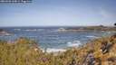 ./images/calvert/foggy-cove/20260503/foggy-cove20260503_104001M.jpg