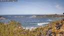 ./images/calvert/foggy-cove/20260503/foggy-cove20260503_104501M.jpg