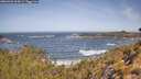 ./images/calvert/foggy-cove/20260503/foggy-cove20260503_105001M.jpg