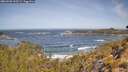 ./images/calvert/foggy-cove/20260503/foggy-cove20260503_105501M.jpg