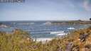 ./images/calvert/foggy-cove/20260503/foggy-cove20260503_110001M.jpg